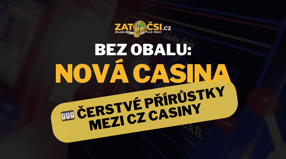 Automaty pres Paysafecard Jak na to a co očekávat Automaty pres Paysafecard Jak na to a co očekávat