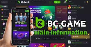Experience the Thrill of Poker at BC.Game